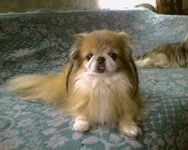 Photo-0041.webp