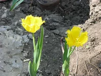 IMG_5000_изменить размер.webp