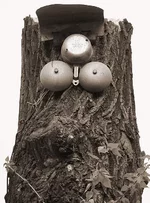 face.JPG