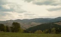 -r-3579.webp
