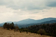 -r-3695.webp
