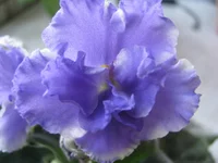 1 027.webp