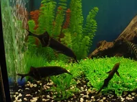 okean_2.webp