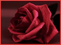 4492981_8365f889.webp