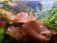 20190324_103839.webp