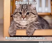  утро.webp