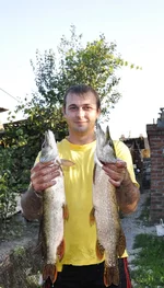 _DSC0103.webp