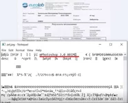 1.webp