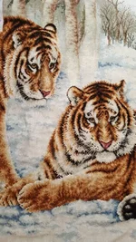 viber image 2019-04-07 , 22.07.43.webp