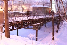 IMG_7993.webp