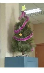  красавица.webp