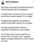 Кошка и зе.jpg