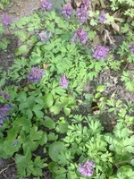 IMG_1920.webp
