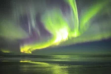 IMG_1435.webp