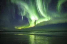 IMG_1440.webp