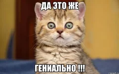 genialno.webp