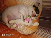 P90410-223533.webp