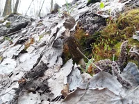 20190413_093637.webp