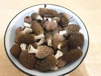 20190414_182901.jpg