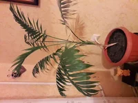 20190329_182431.webp