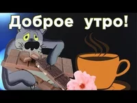  был пес.webp