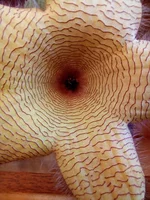DfXpTEbZEDA.webp