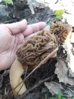 20190418_093456.webp