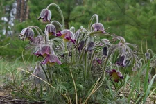 IMGP5746.webp
