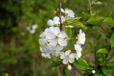 IMG_8613.webp