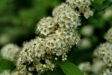 IMG_8704.webp