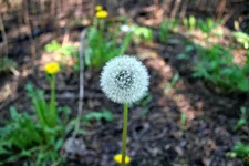 IMG_8636.webp