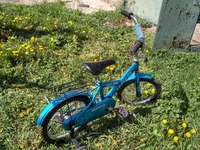 IMG_2019-04-27_135628_HDR.jpg