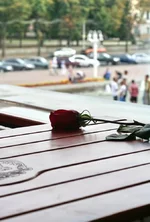 IMG_7535.webp