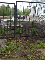 IMG_20190429_105849.jpg