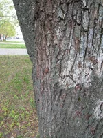 IMG_20190429_105703_BURST2.webp
