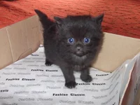 DSCF1364.webp