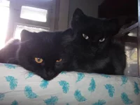 DSCF1968.webp