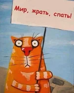 IMG-bab5d5df58bde10cab172708206cefd4-V.webp