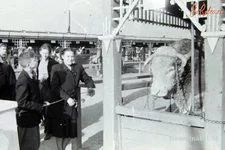 1361312668374.jpg