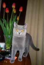 2019-04-21 22.56.01.webp