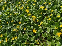IMG_20190420_103938.webp