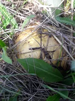 20190504_134953.webp