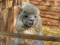 DSC08848-01.webp