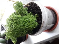 20190506_133302.webp