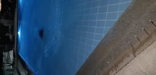 20190507_203611.webp