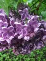 viber image 2019-05-09 , 10.01.47.webp