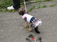  074.webp