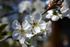 _1MG_7420.webp
