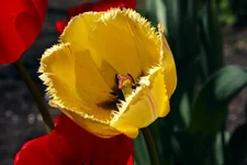 1_MG_7399.webp