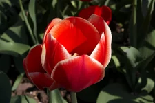 1_MG_7429.webp